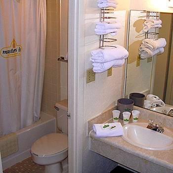 Motel 6 Columbia - University Of South Carolina 客房 照片
